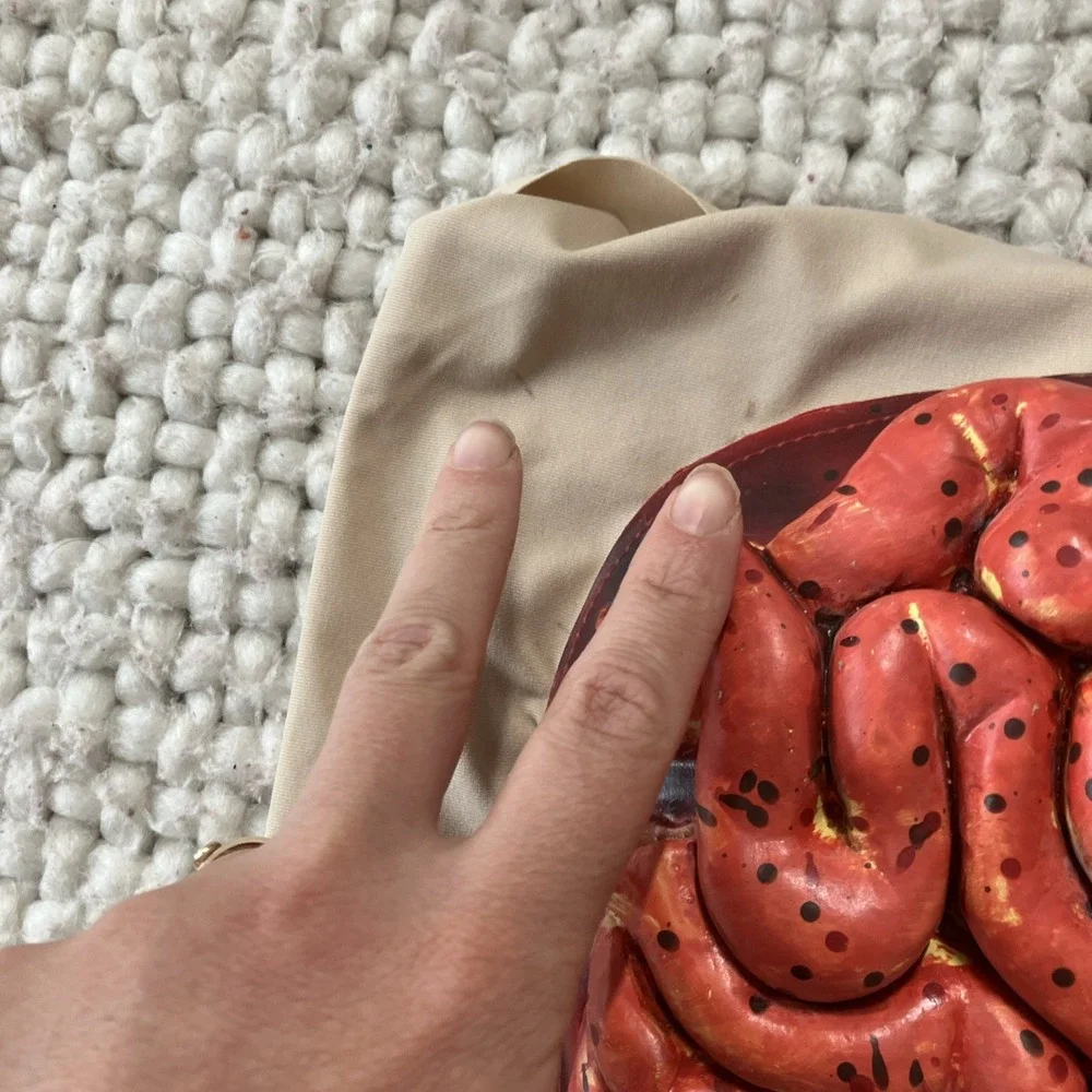 Halloween Fake Severed Body Parts Organs Intestine Wrap‎ Dead Zombie Creepy